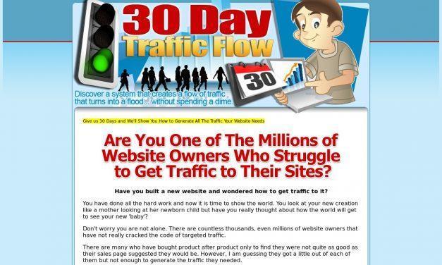 30 Day Traffic Flow