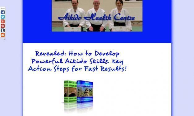 Aikido Ebooks Success Blueprint