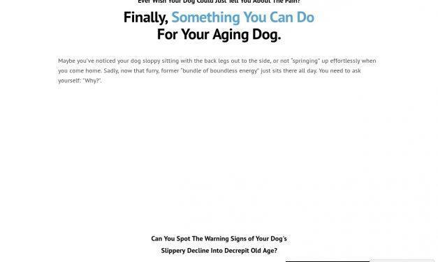 Wagging For Life Bundle 4w4l — Argos Canine