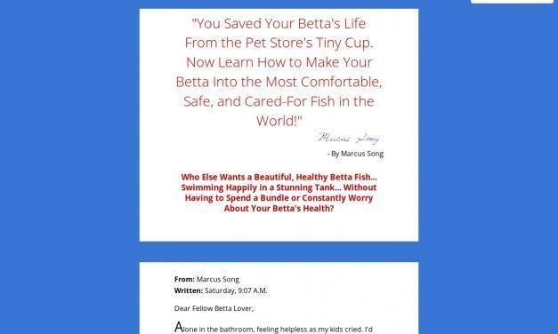 Betta Fish – Learn How to Give Your Betta a Great Life!