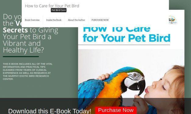 How to Care for Your Pet Bird | Dr. Joel Murphy