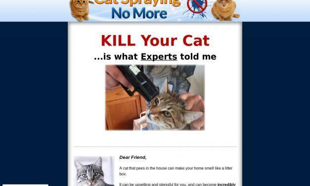 Cat Spraying No More – How to Stop Cats From Urinating Outside the Litterbox!
