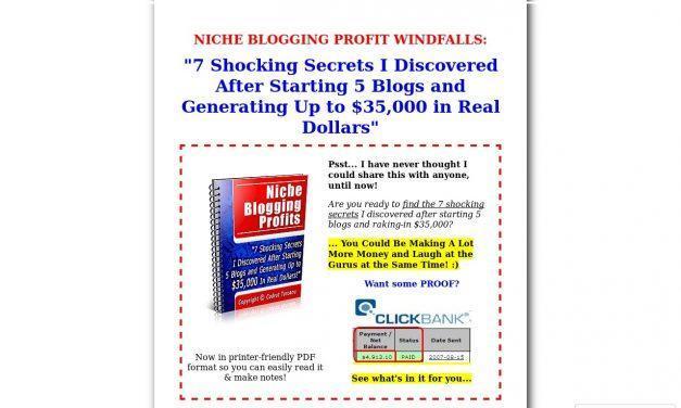 Niche Blogging Profits I Blog for Money (Faster)