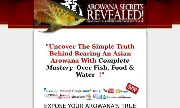 Arowana Fish *SECRETS* Revealed | Learn Insider Arowana Care Tips