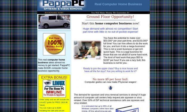 PappaPC Real Computer Home Business $100 Per Hour