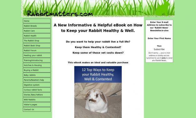 12 top ways to keep your rabbit healthy, well & contented