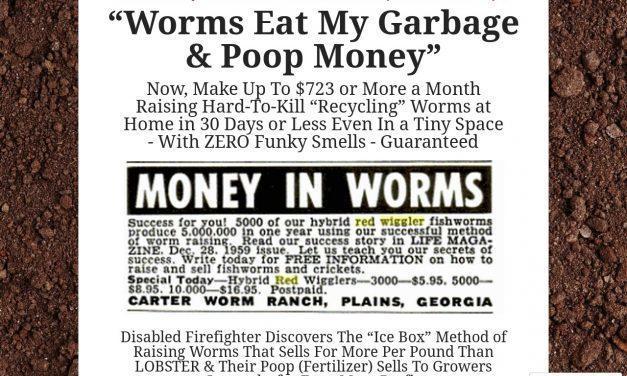 Worm Farming For Profit
